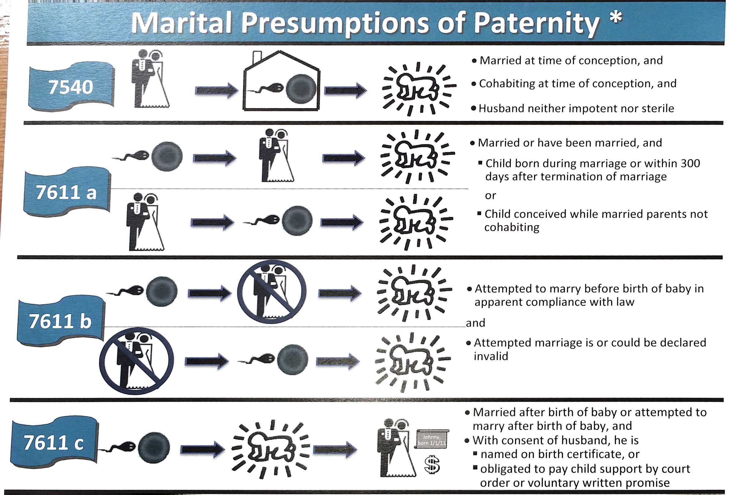 Marital Presumptions of Paternity chart